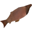 Grilled fish.png