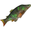 Glowing sewer fish.png