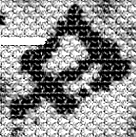 File:Symbol Wasteland5.png