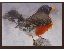 File:Furniture Robin Painting.png