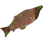 Glowing grilled fish.png