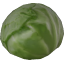 Cabbage.png