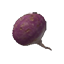 Turnip spr.png