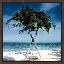 File:Furniture Island Painting.png