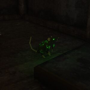 Glowing rat.jpg