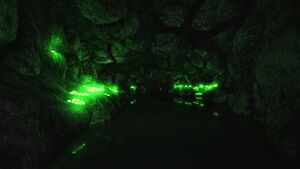 Freshwater Tunnel 1 Cave.jpg