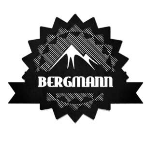 Bergmann Group logo.png