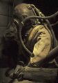 Diving Suit as depicted on book cover