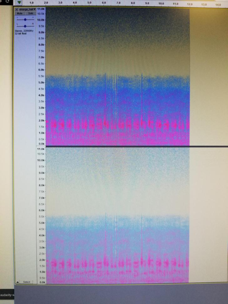 File:Strange hallway 004 spectrogram.png